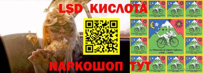 МДПВ Канаш