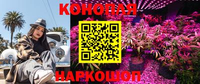 альфа пвп Камышлов